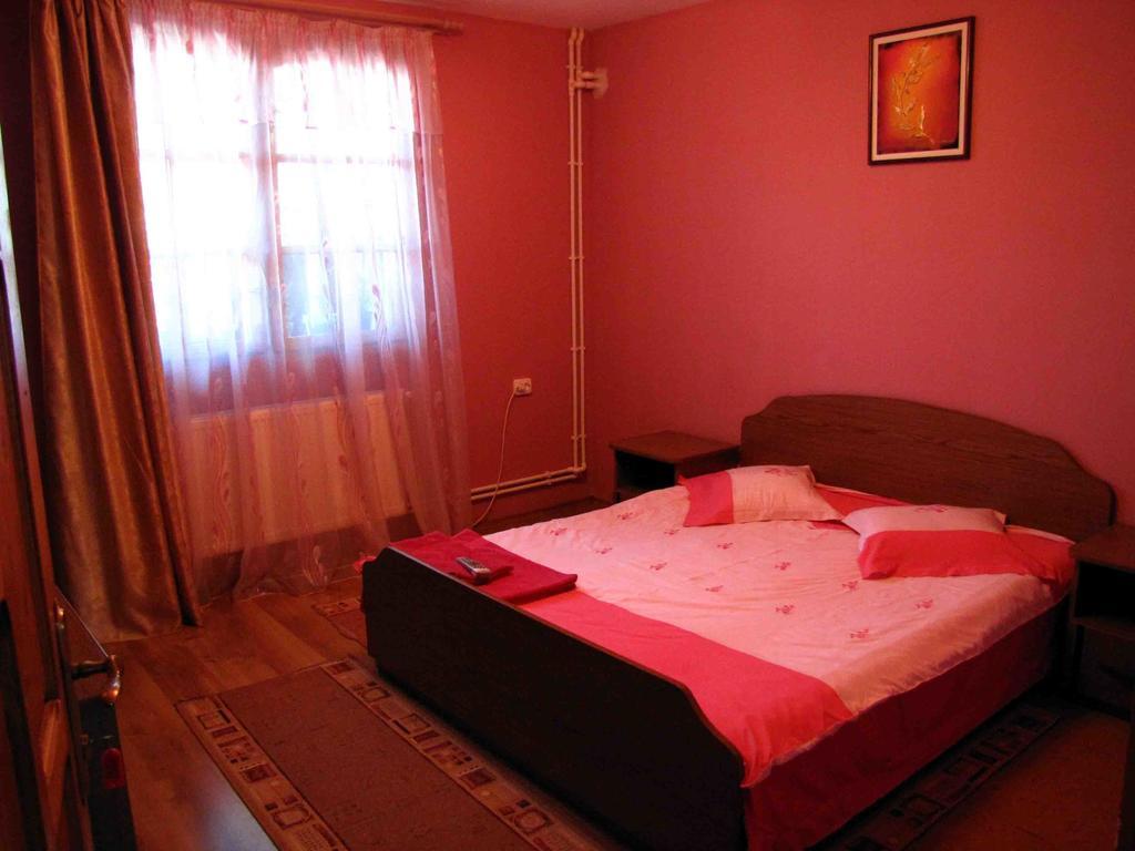 Hotel Casa Oana Sulina Pokoj fotografie